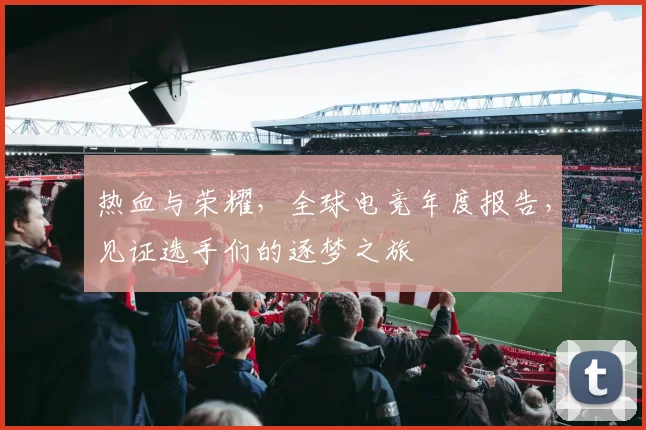 热血与荣耀,全球电竞年度报告,见证选手们的逐梦之旅