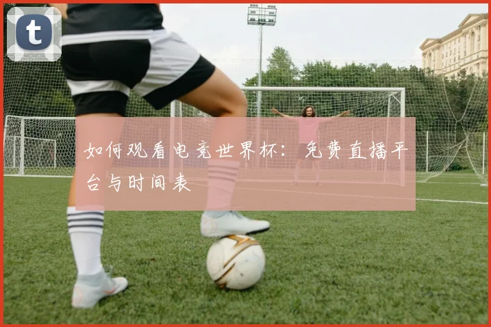 如何观看电竞世界杯:免费直播平台与时间表